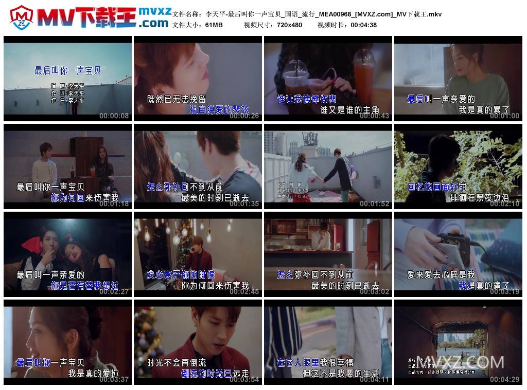 李天平-最后叫你一声宝贝_国语_流行_MEA00968